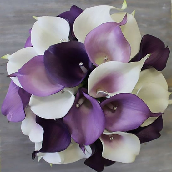 Calla Lily Bulbs - Bridal Bouquet | Spring Flower Bulbs | Eden Brothers