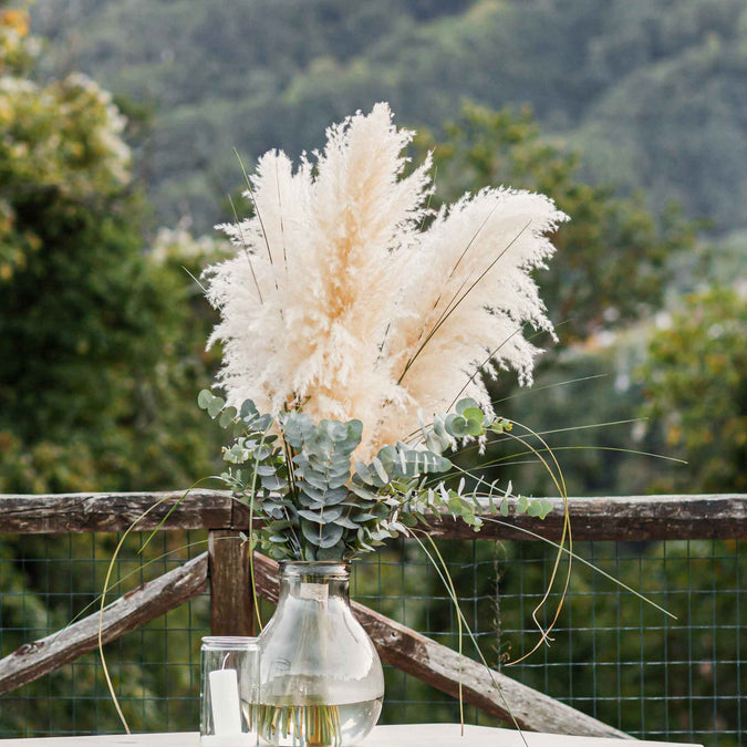 grass pampas plume white