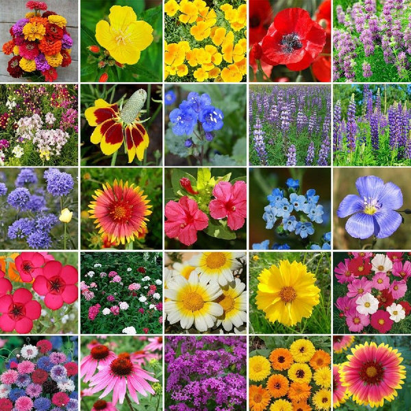 Heirloom Flower Seed Mix - 25 Pounds, Mixed, Wildflower Seeds, Eden Brothers