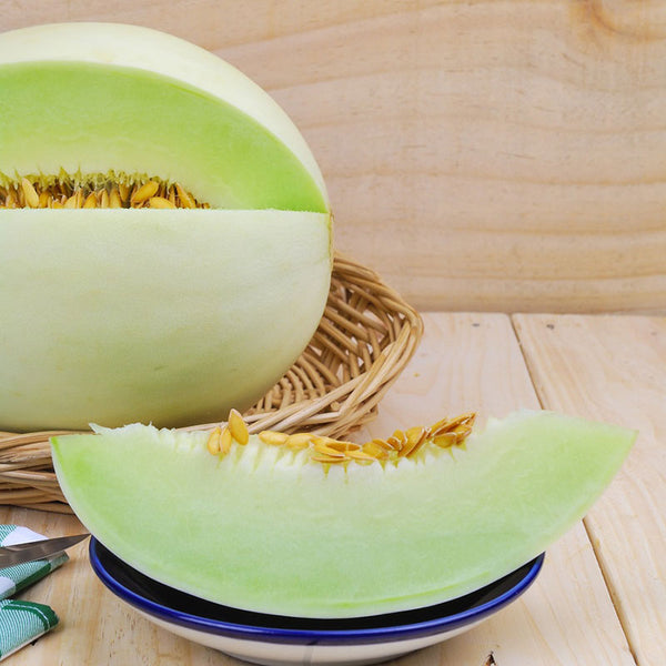 Honeydew Green Melon Seeds - Heirloom – Hometown Seeds