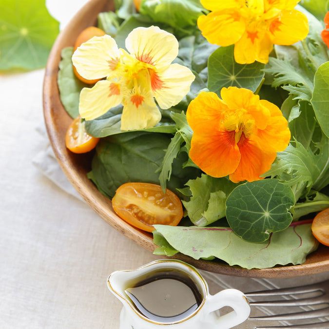 nasturtium edible flower