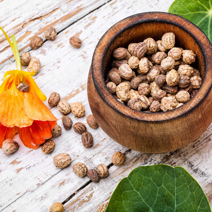 nasturtium seeds