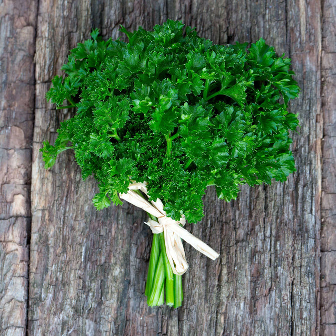 parsley seeds