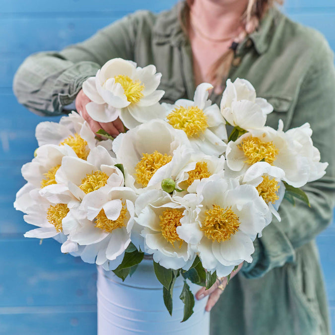 peony jan van leeuwen