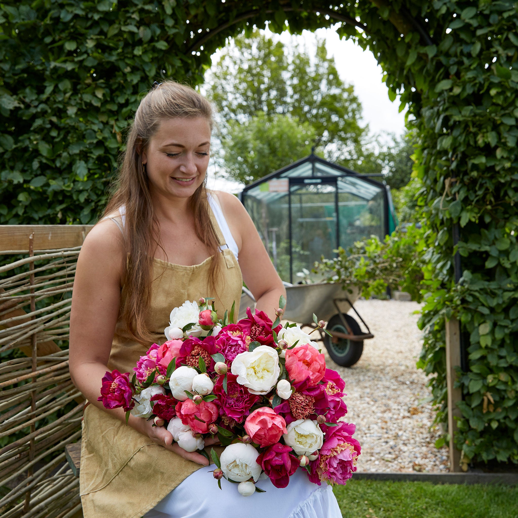 Peony Bulbs - Pink & White Mix | Flower Bulbs | Eden Brothers