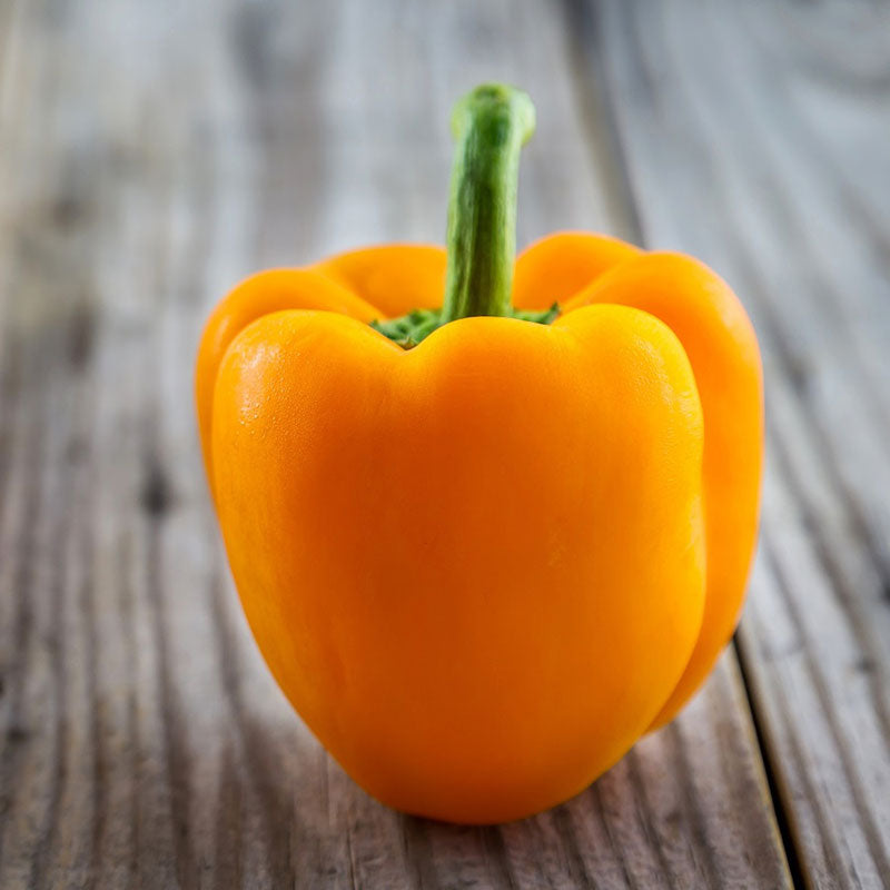 Sweet Pepper Seeds - Orange King | Vegetable Seeds in Packets & Bulk ...