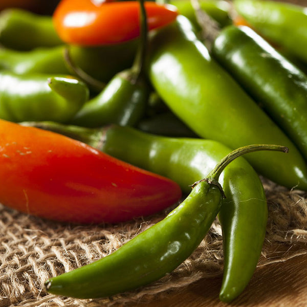 Serrano Tampiqueño Pepper Seeds