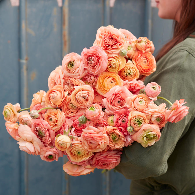 ranunculus amandine salmon