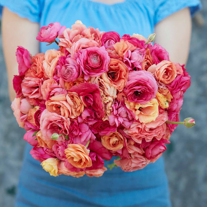 ranunculus lipstick mix