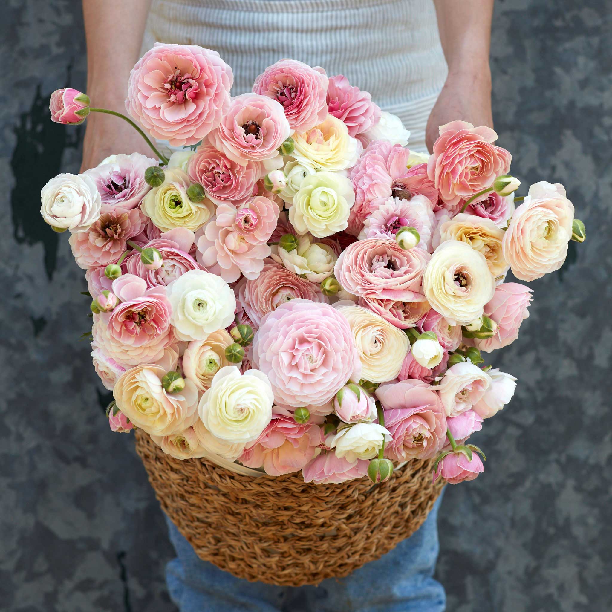 Ranunculus deals