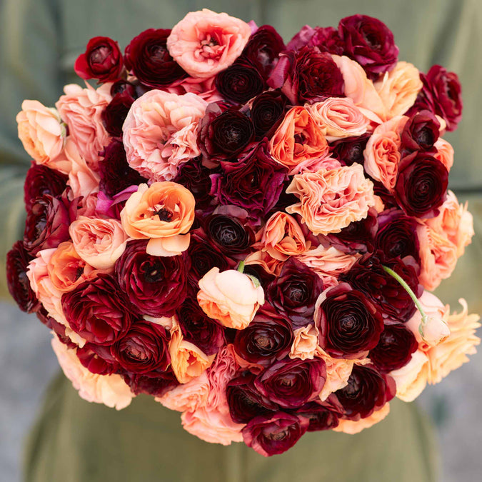 ranunculus princess bride mix