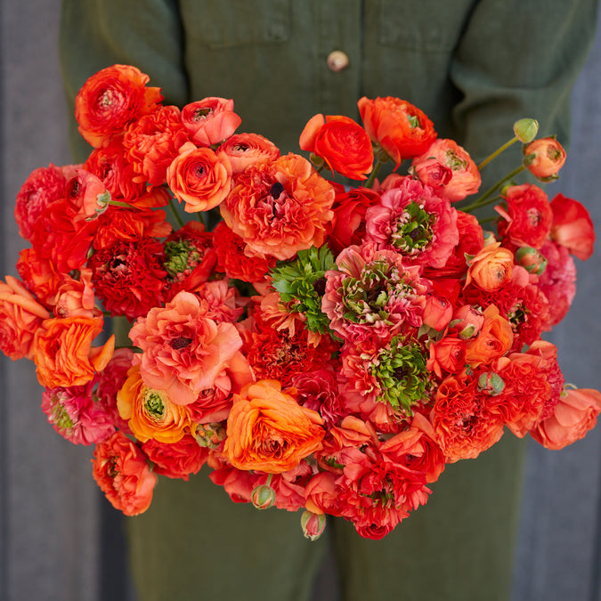 ranunculus super green orange