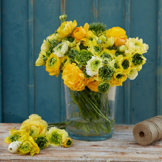 ranunculus super green yellow