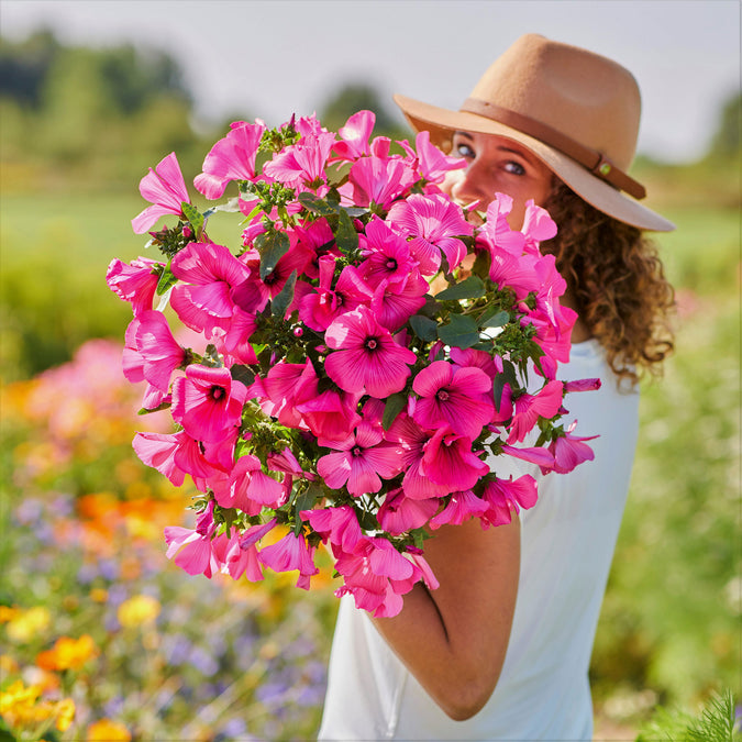 rose mallow tanagra