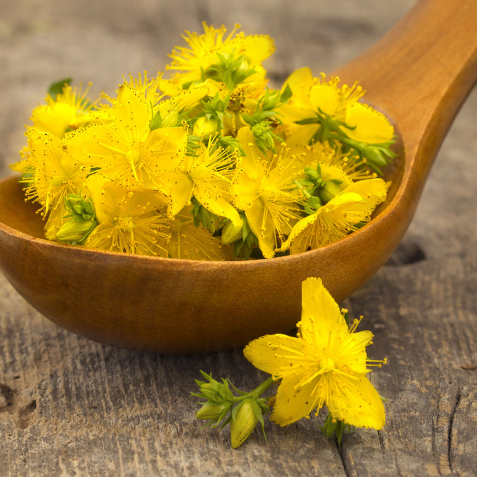 St. Johns Wort