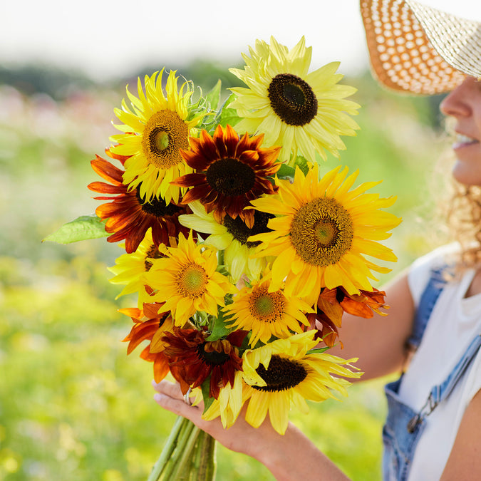 sunflower formula mix