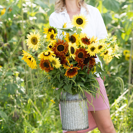 sunflower seed mix