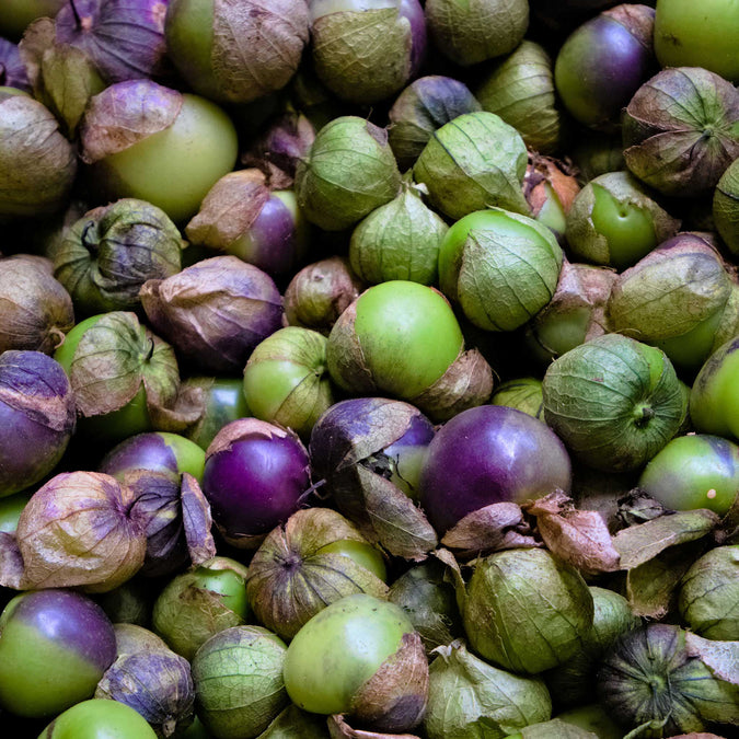 purple tomatillo