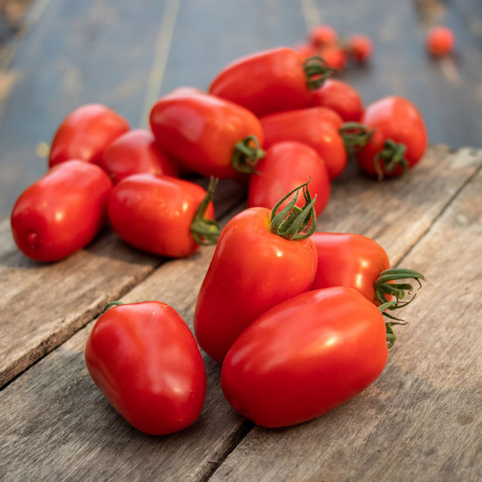 tomato trutti frutti paprika f1