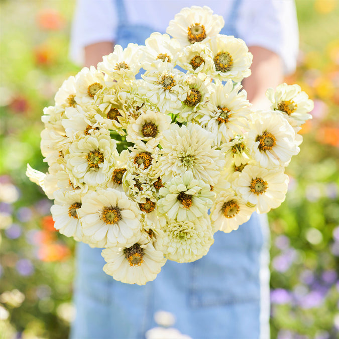 zinnia cactus snowman