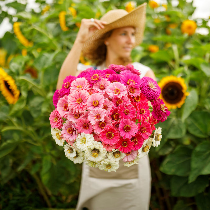 zinnia show stopper mix