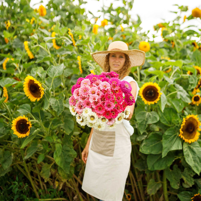 zinnia show stopper mix